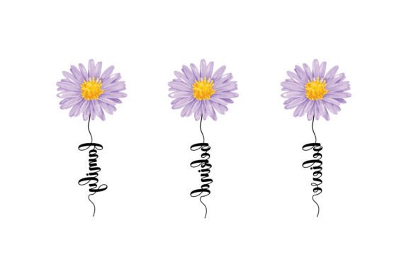 Family Be Kind Believe Daisy Flower: A Brand Designer’s Review